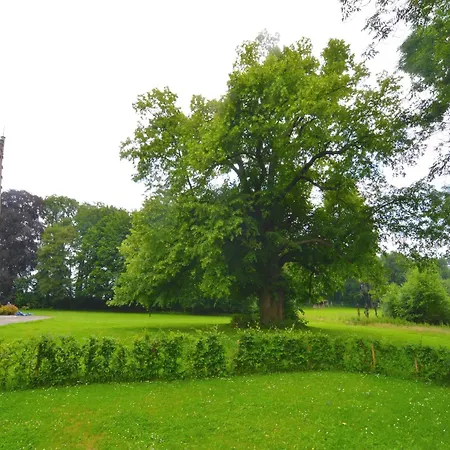 With Swimming Pool Situated In Wonderful Castle Grounds In * Gesves