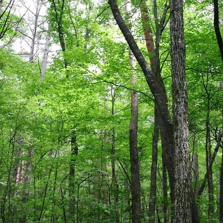 With Swimming Pool Situated In Wonderful Castle Grounds In Сasa de vacaciones Gesves